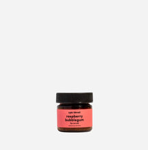 Load image into Gallery viewer, Epic Blend Lip Scrub
